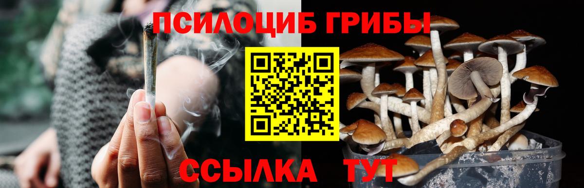 Ростов Великий  Галлюциногенные грибы мицелий  Псилоцибиновые грибы Magic Shrooms  Вход с VPN 